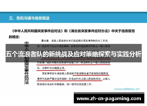 五个流浪者队的新挑战及应对策略探索与实践分析