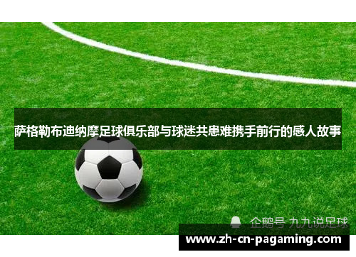 萨格勒布迪纳摩足球俱乐部与球迷共患难携手前行的感人故事