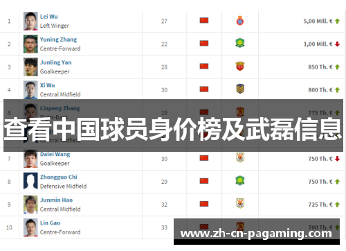 查看中国球员身价榜及武磊信息