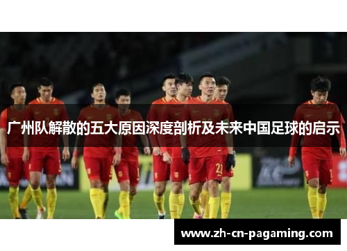 广州队解散的五大原因深度剖析及未来中国足球的启示
