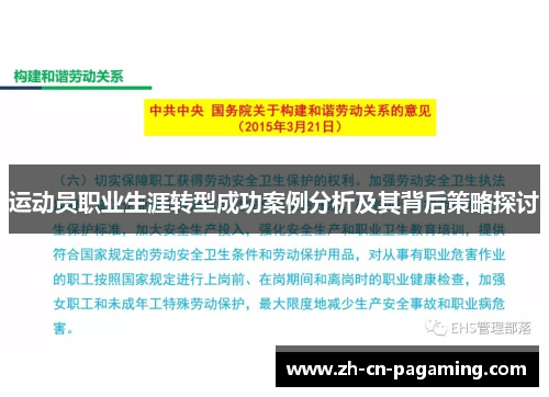 运动员职业生涯转型成功案例分析及其背后策略探讨