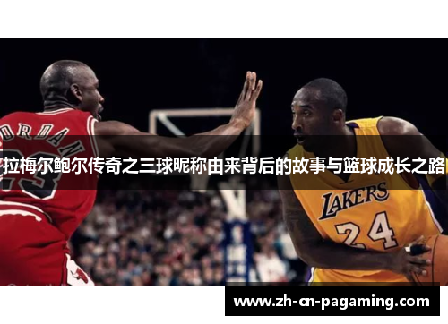 拉梅尔鲍尔传奇之三球昵称由来背后的故事与篮球成长之路 拉梅尔鲍尔传奇之三球昵称由来背后的故事与篮球成长之路