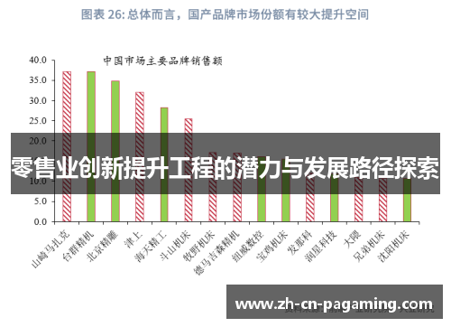 零售业创新提升工程的潜力与发展路径探索