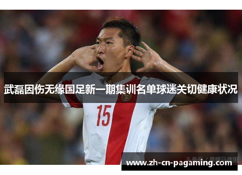 武磊因伤无缘国足新一期集训名单球迷关切健康状况 武磊因伤无缘国足新一期集训名单球迷关切健康状况