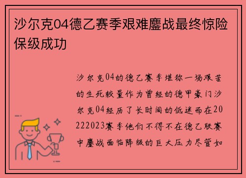 沙尔克04德乙赛季艰难鏖战最终惊险保级成功