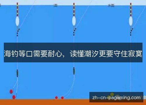 海钓等口需要耐心，读懂潮汐更要守住寂寞