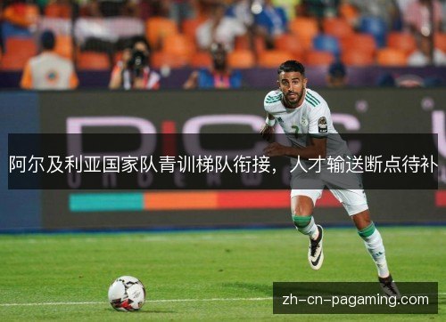 阿尔及利亚国家队青训梯队衔接，人才输送断点待补